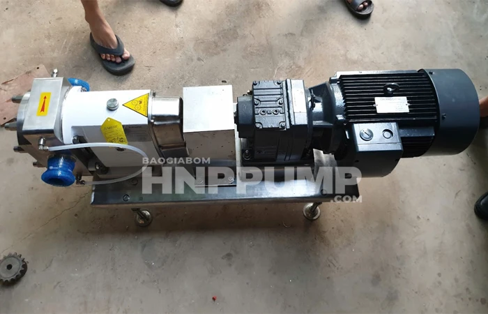 bơm cánh khế carten pump