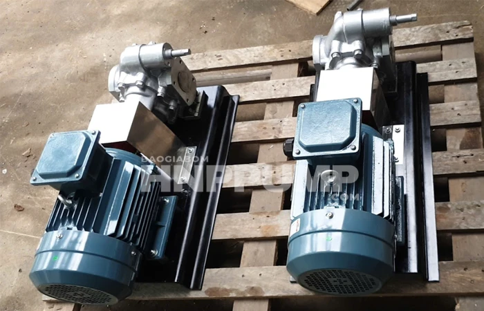 bơm cánh khế thực phẩm