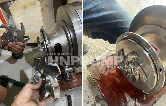 bơm đồng hóa carten