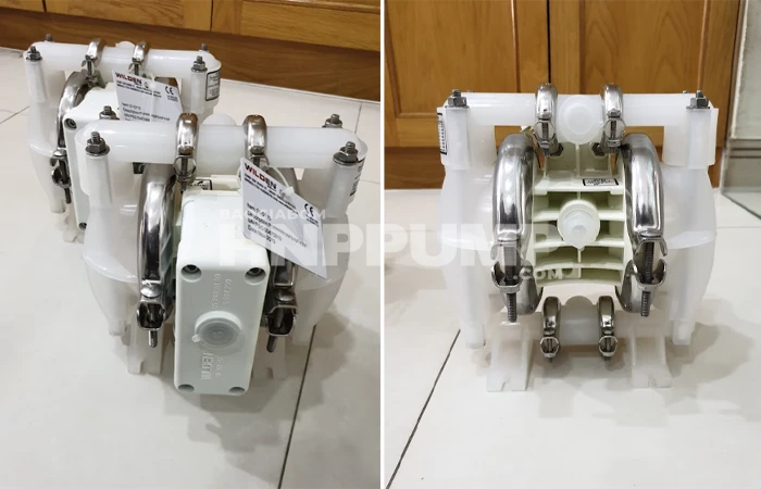 bơm màng Wilden chính hãng