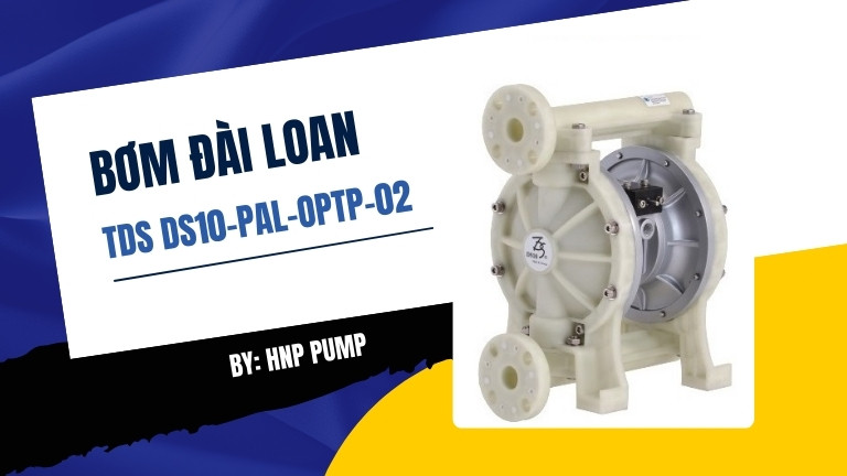 TDS DS10-PAL-OPTP-02