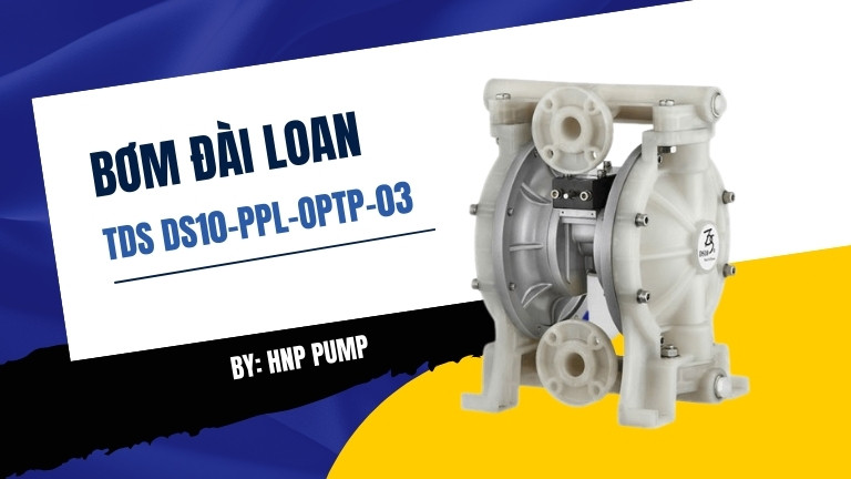 TDS DS10-PPL-OPTP-03