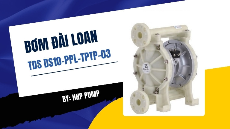 TDS DS10-PPL-TPTP-03