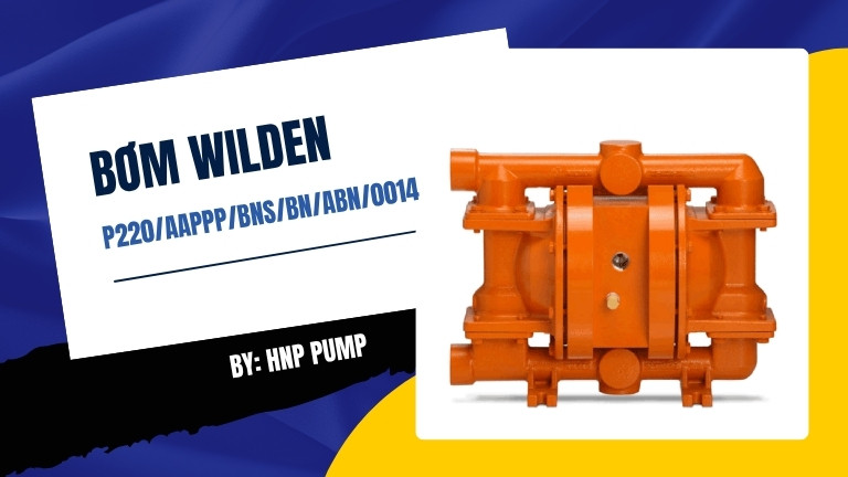 Wilden P220/AAPPP/BNS/BN/ABN/0014