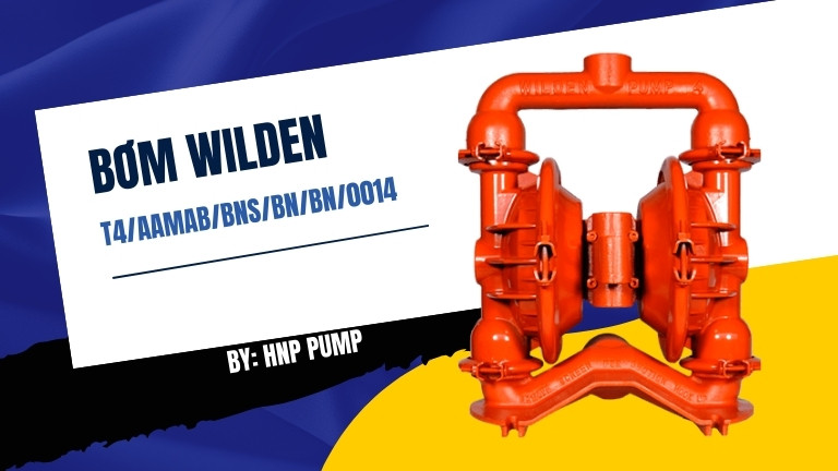 Wilden T4/AAMAB/BNS/BN/BN/0014