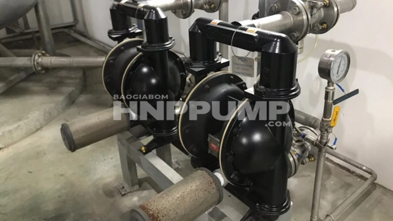 bơm màng khí nén bơm sơn