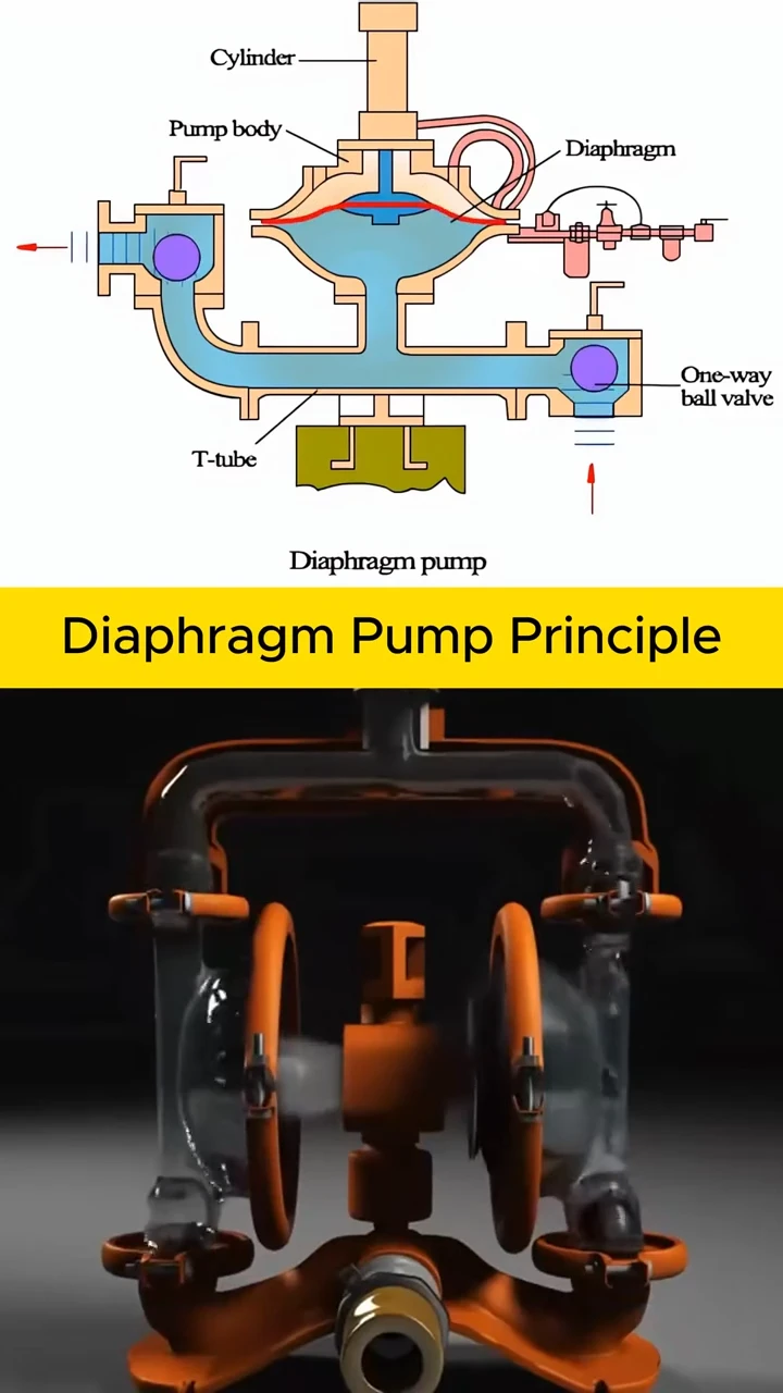 cấu tạo và cách hoạt động của bơm màng khí nén
