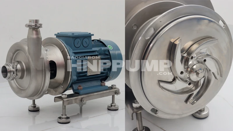 bơm thực phẩm chính hãng cartenpump hls-10